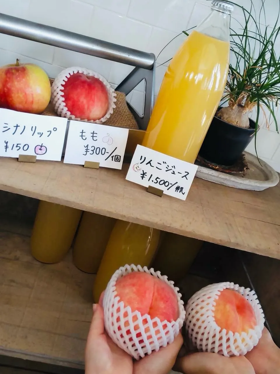 今年も桃はじまりました🍑