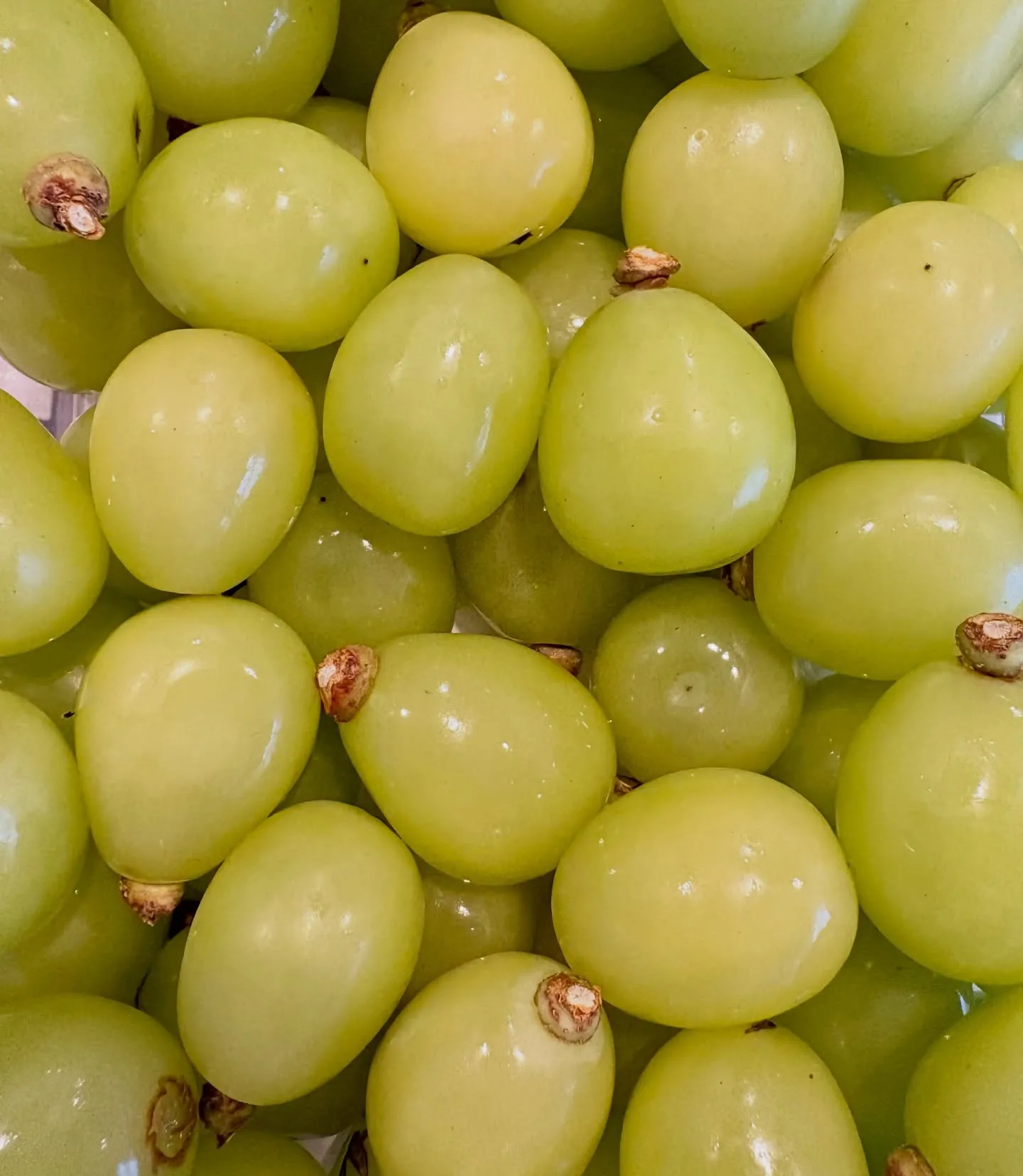 【Xmas限定】シャインマスカットメニューが期間限定でありま...