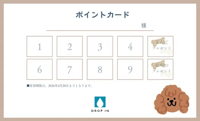 2025年ドロップインにお越しいただいた皆様、本年も大変お世...