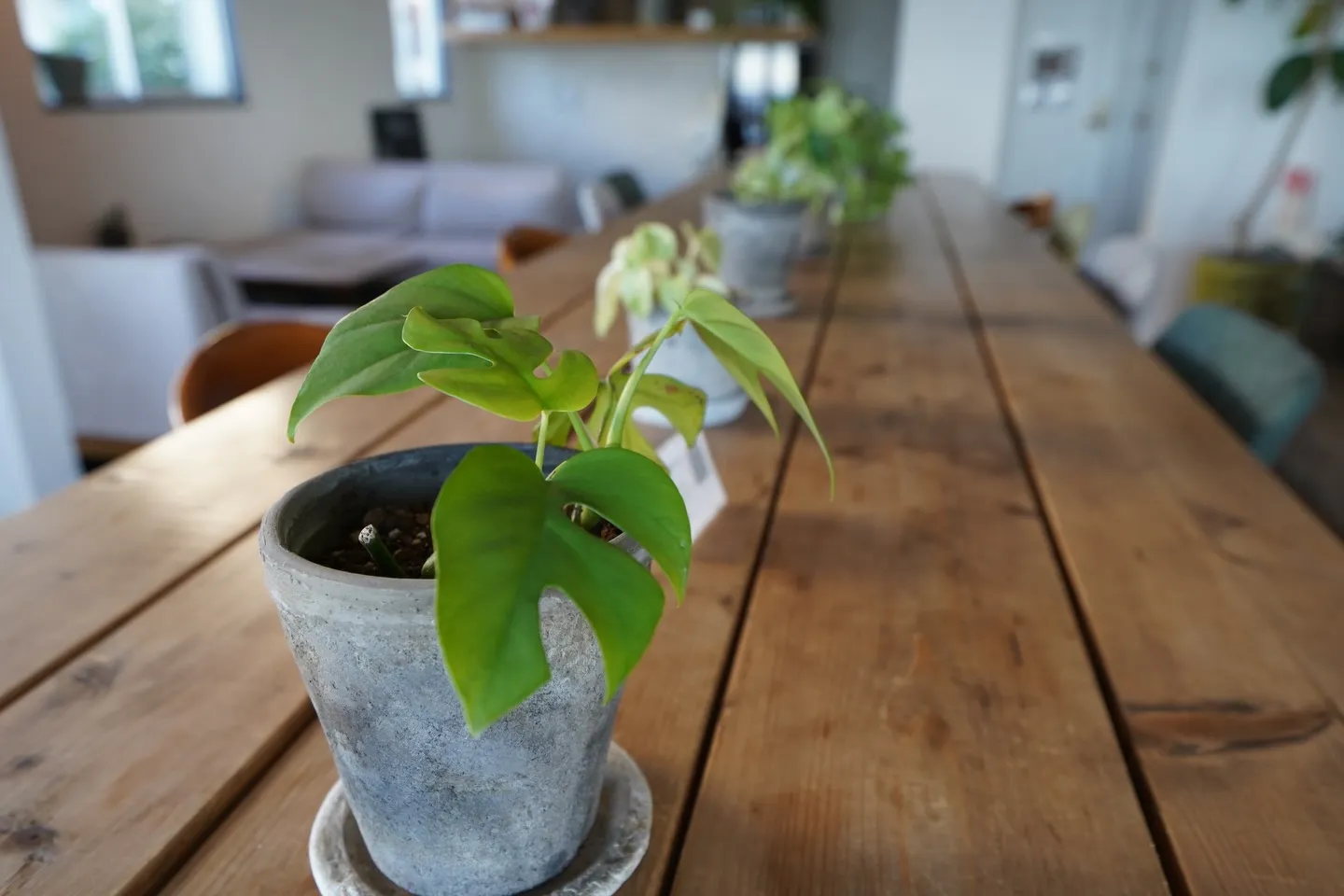 ふらっと立ち寄れる場所🍎