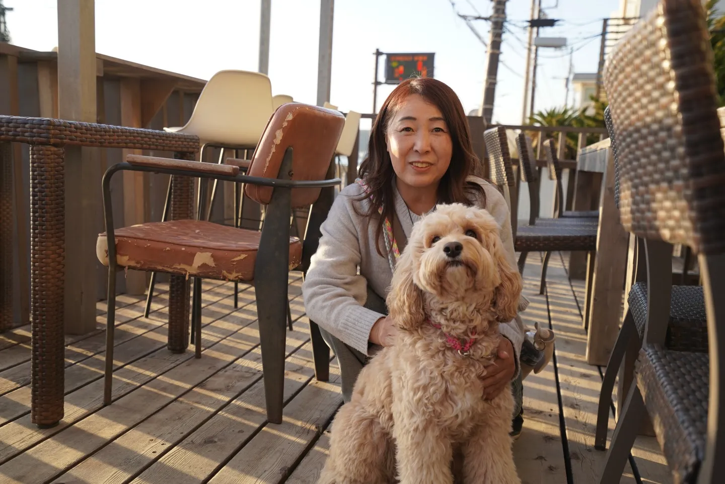 1月わんわんmonth開催中🐶