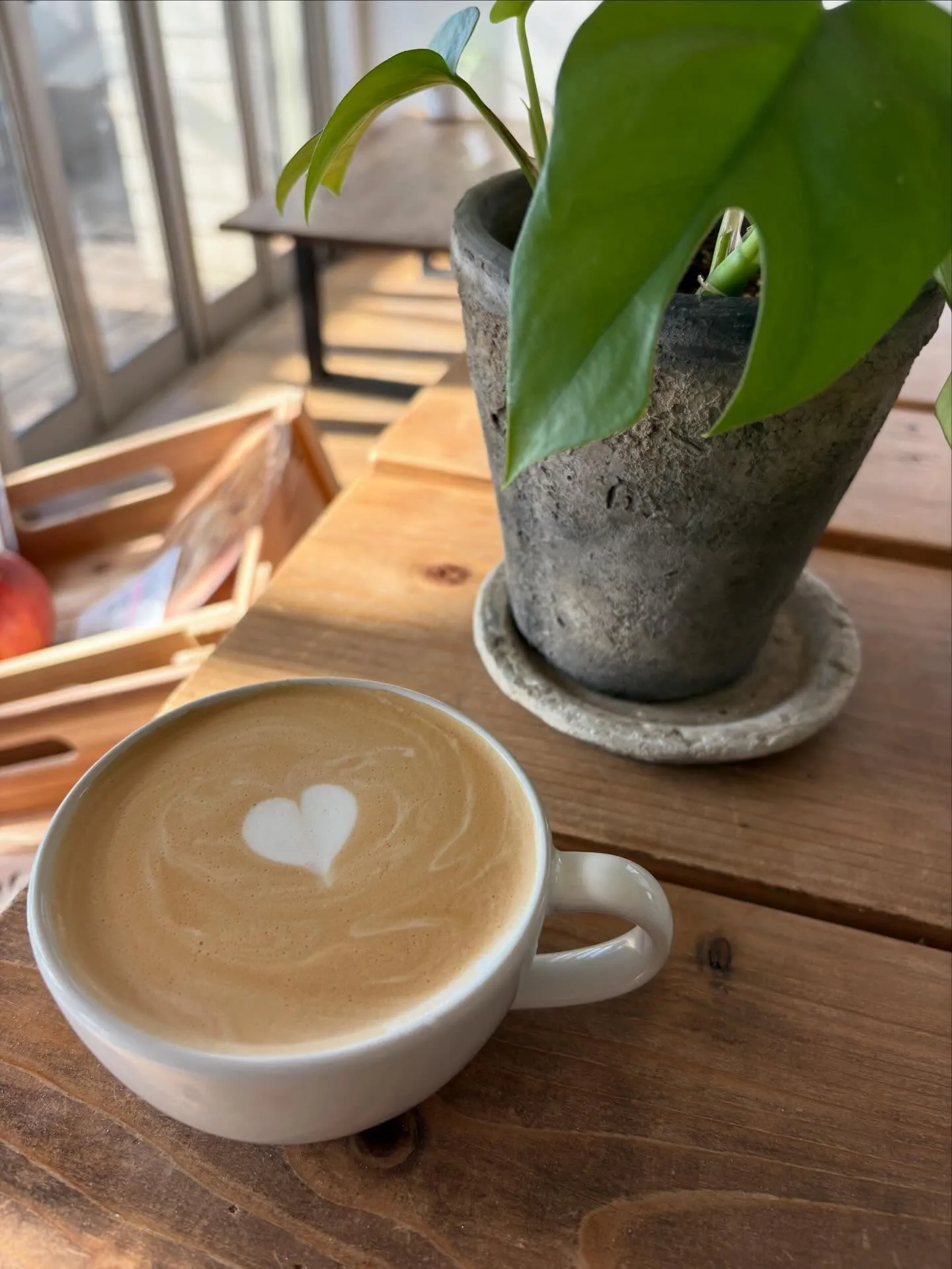 ホットラテ☕️