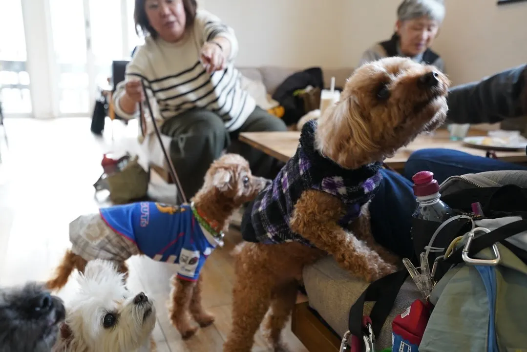 わんちゃん連れ大歓迎です🐶