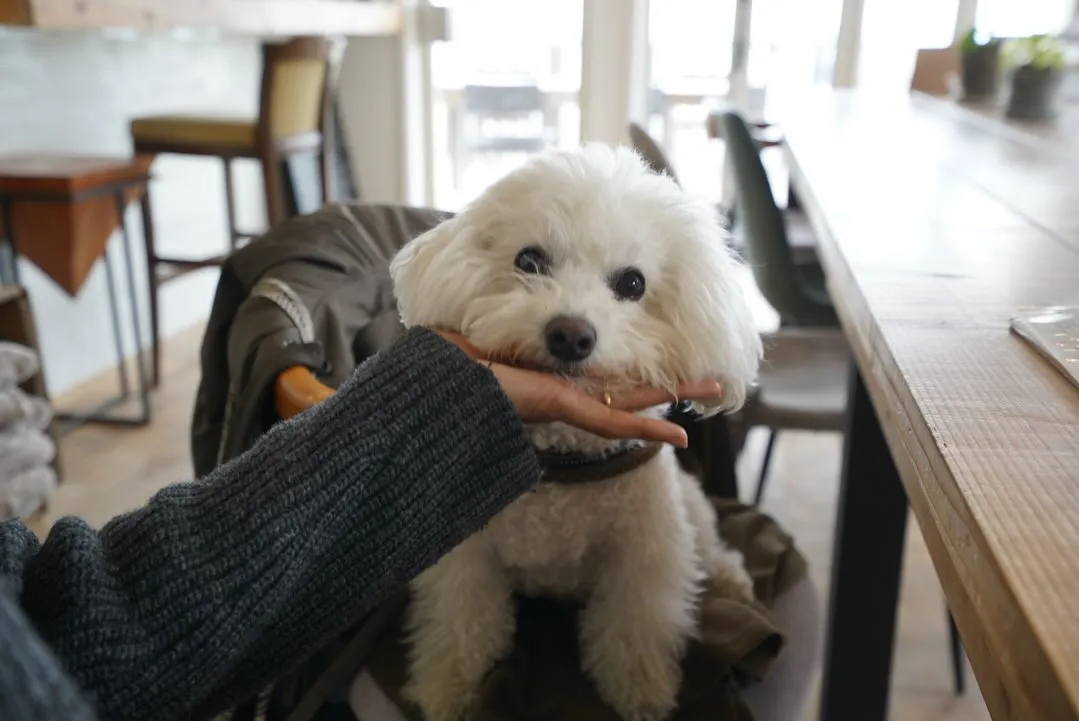 Wi-Fiやコンセントもあります◎