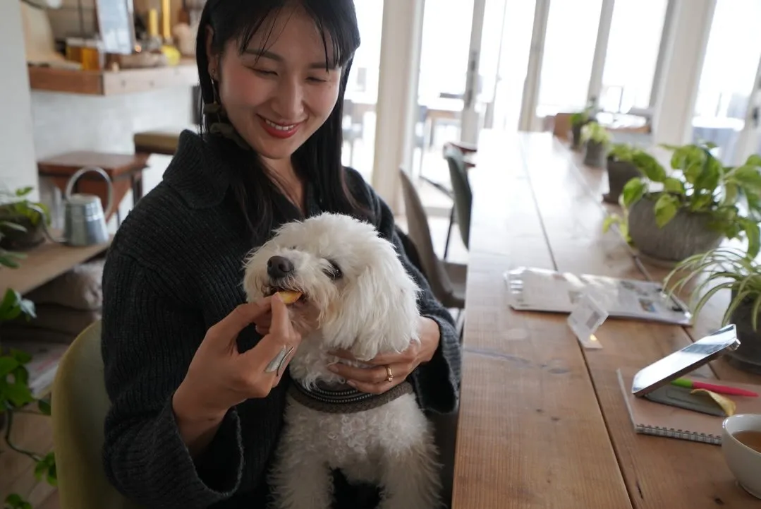 Wi-Fiやコンセントもあります◎