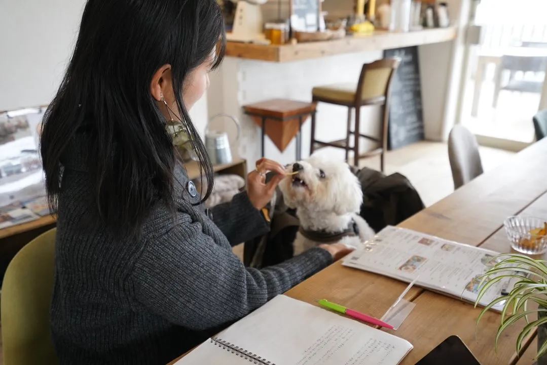 Wi-Fiやコンセントもあります◎