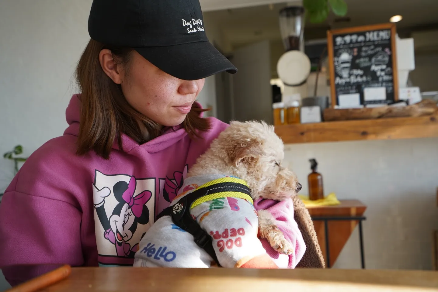 わんちゃんお昼寝、従業員で試作を試食した日🐶