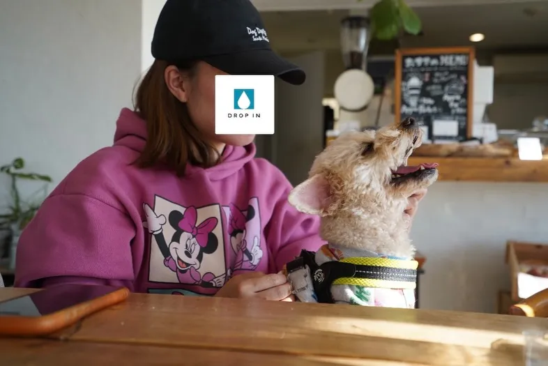 わんちゃんお昼寝、従業員で試作を試食した日🐶