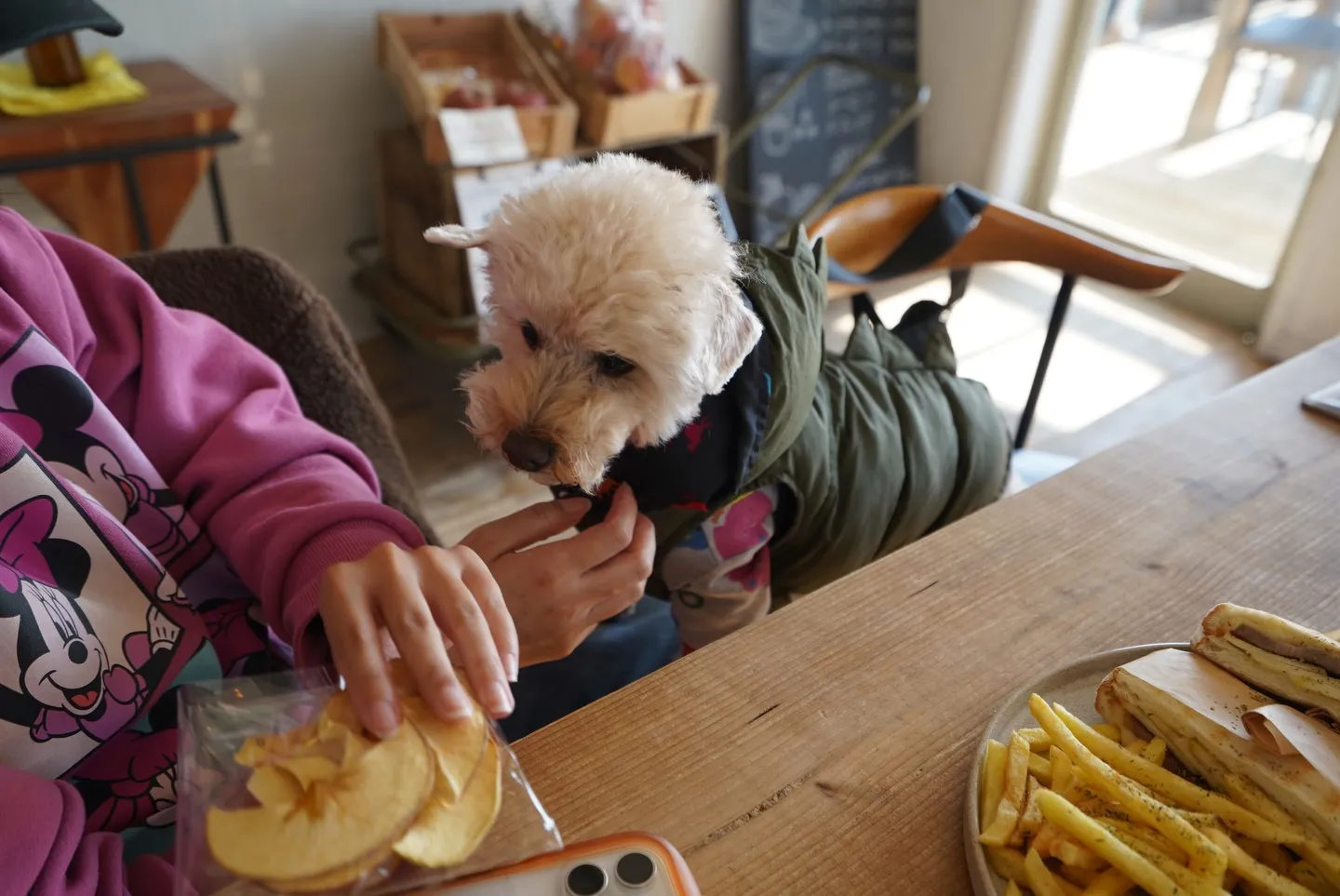 わんちゃんお昼寝、従業員で試作を試食した日🐶