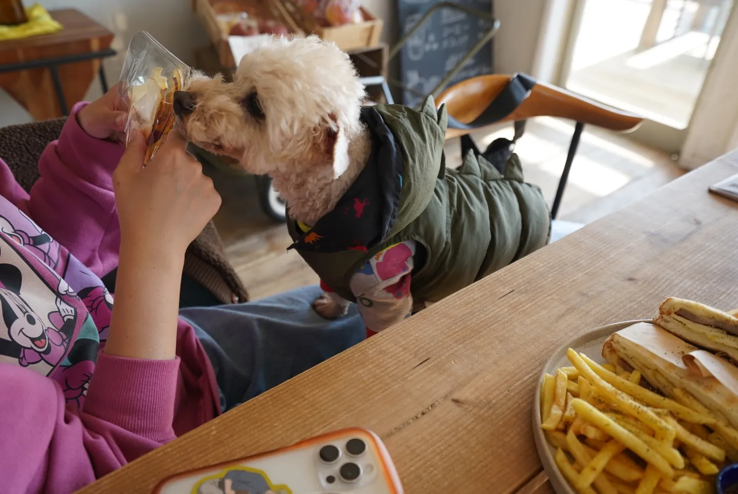 わんちゃんお昼寝、従業員で試作を試食した日🐶
