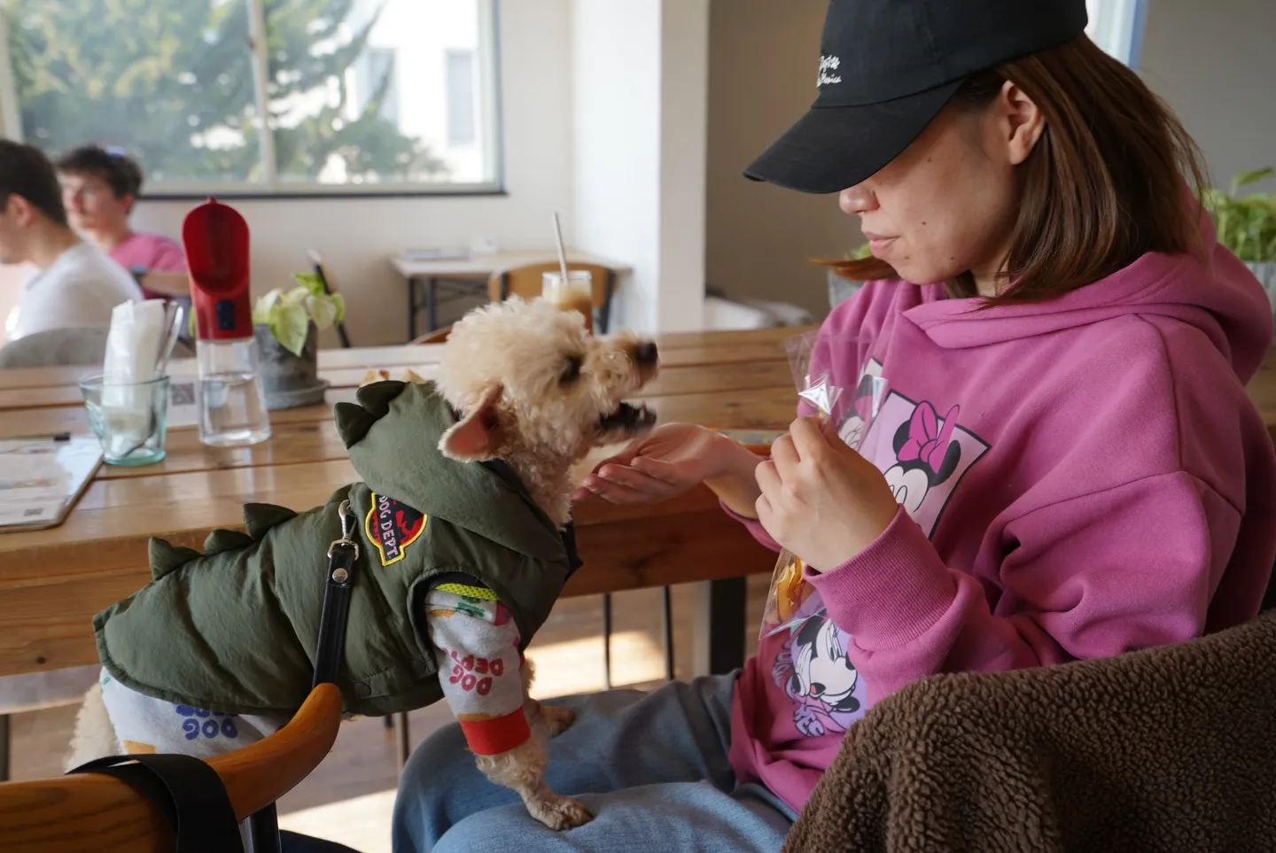 わんちゃんお昼寝、従業員で試作を試食した日🐶