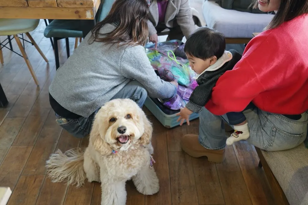 ワークショップ開催しました🐶