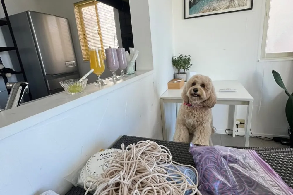 ワークショップ開催しました🐶