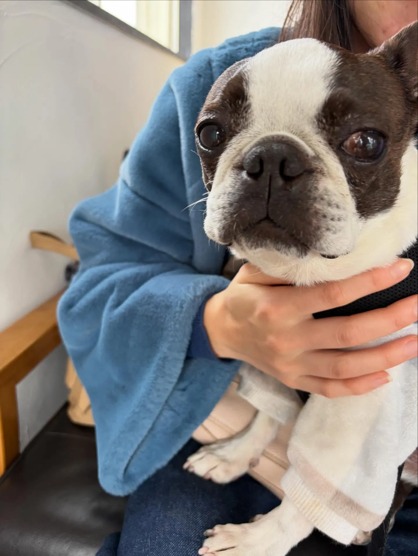 わんわんmonth🐶