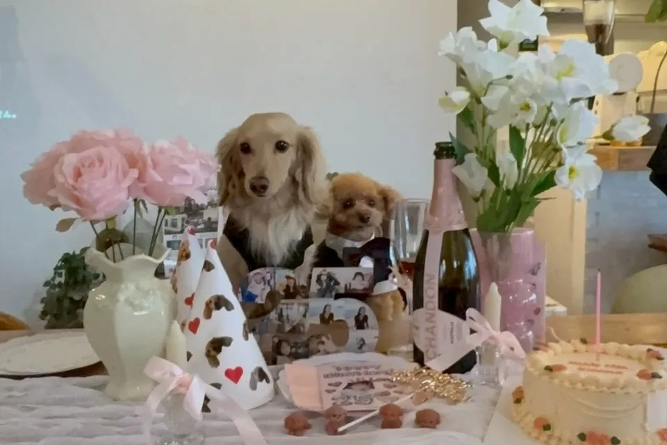 スペースレンタルで誕生日会🎁