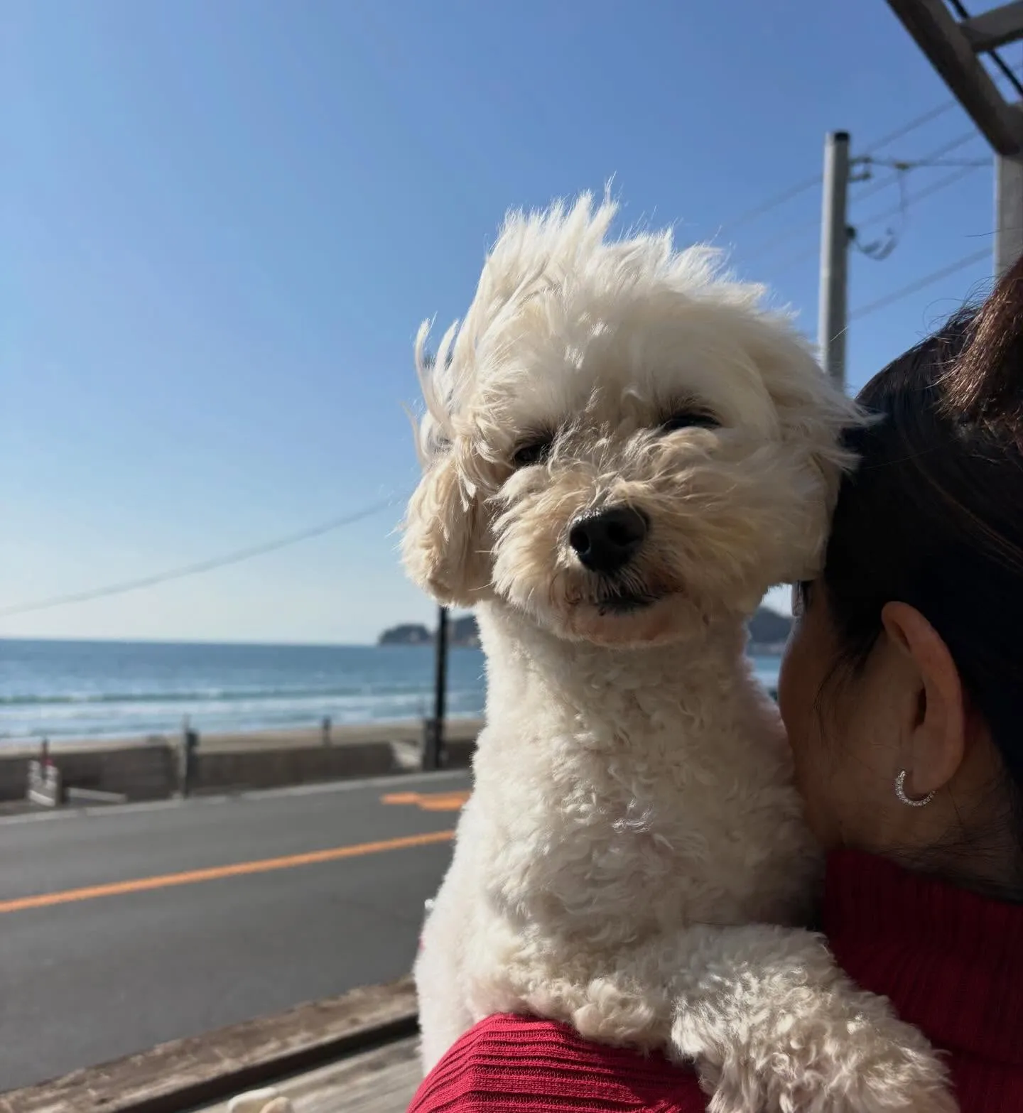 わんちゃん連れ大歓迎🐶