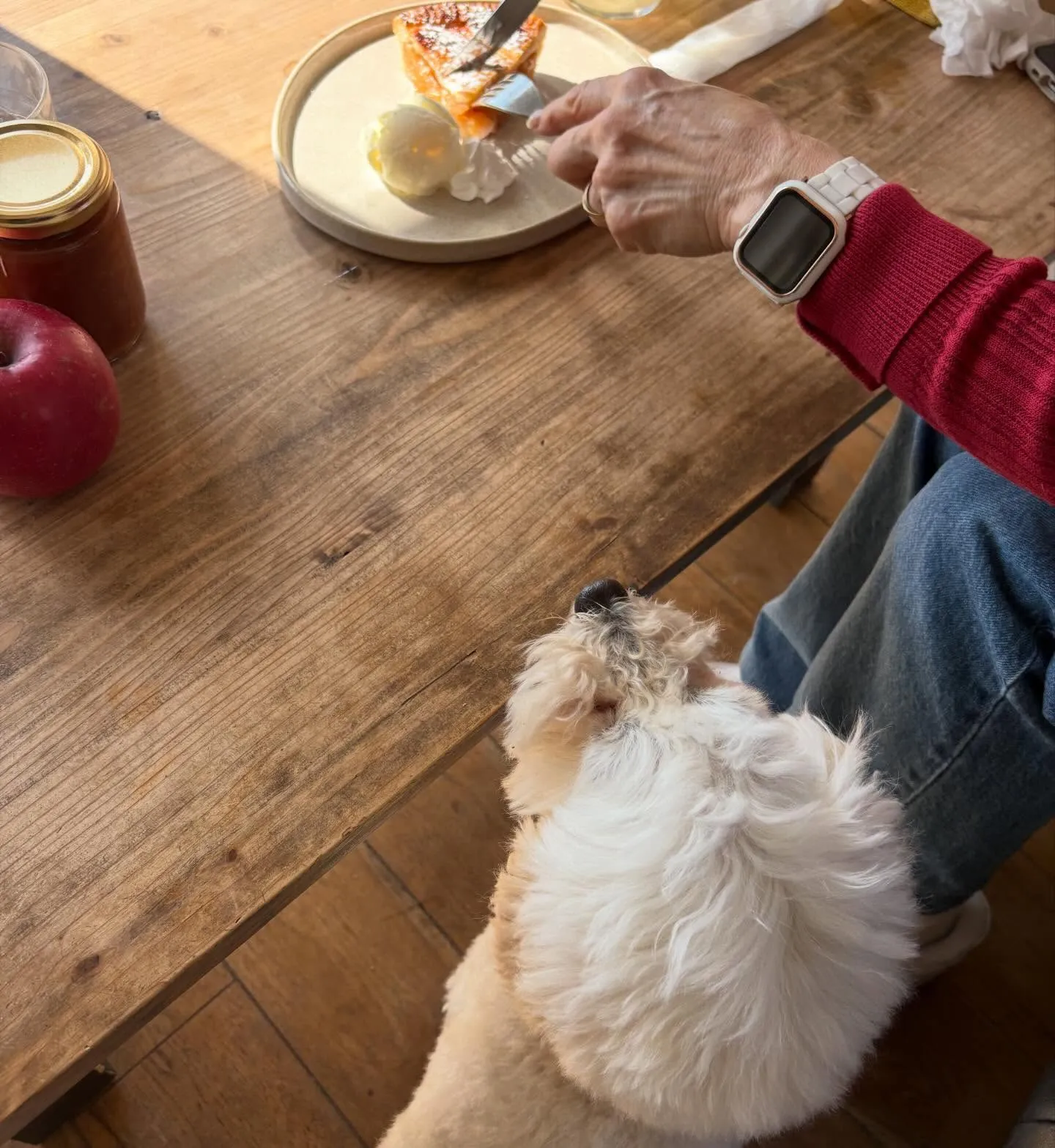 わんちゃん連れ大歓迎🐶