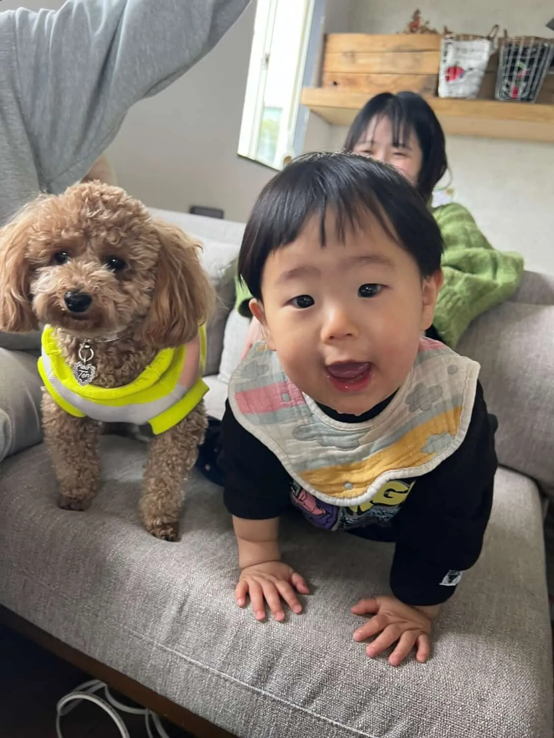 今月もにこパラ会開催されました🐶🧶