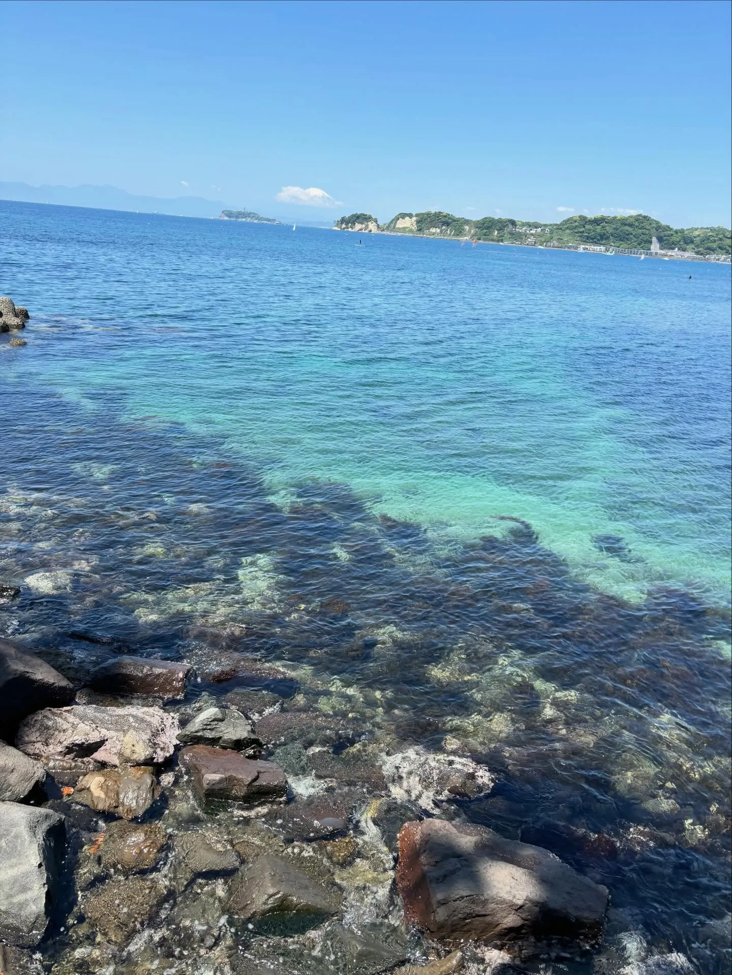 材木座からのお散歩🐶