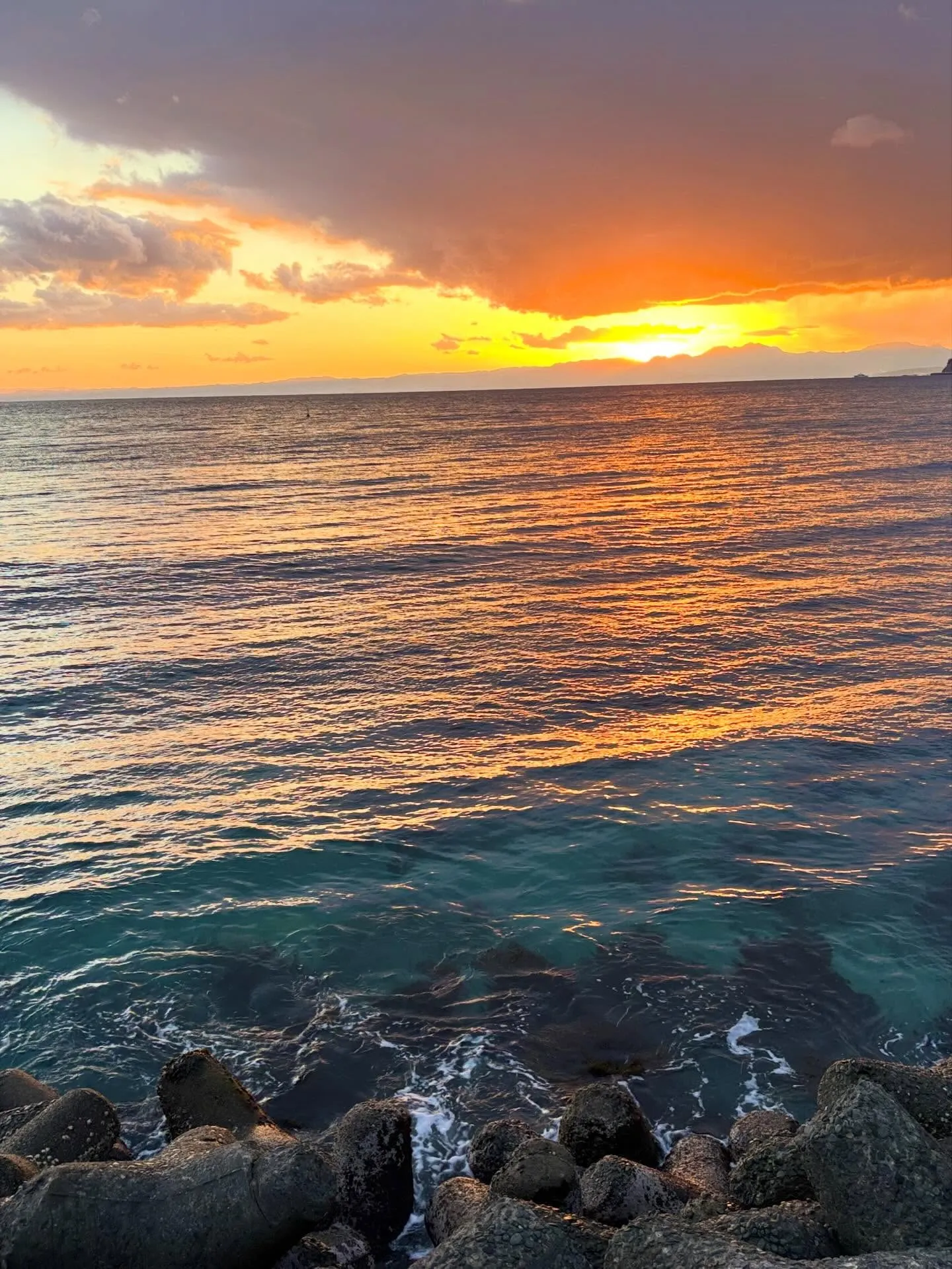 材木座からのお散歩🐶