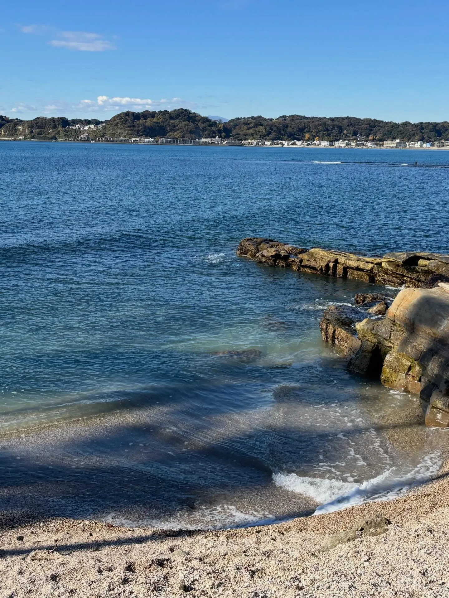 材木座からのお散歩🐶