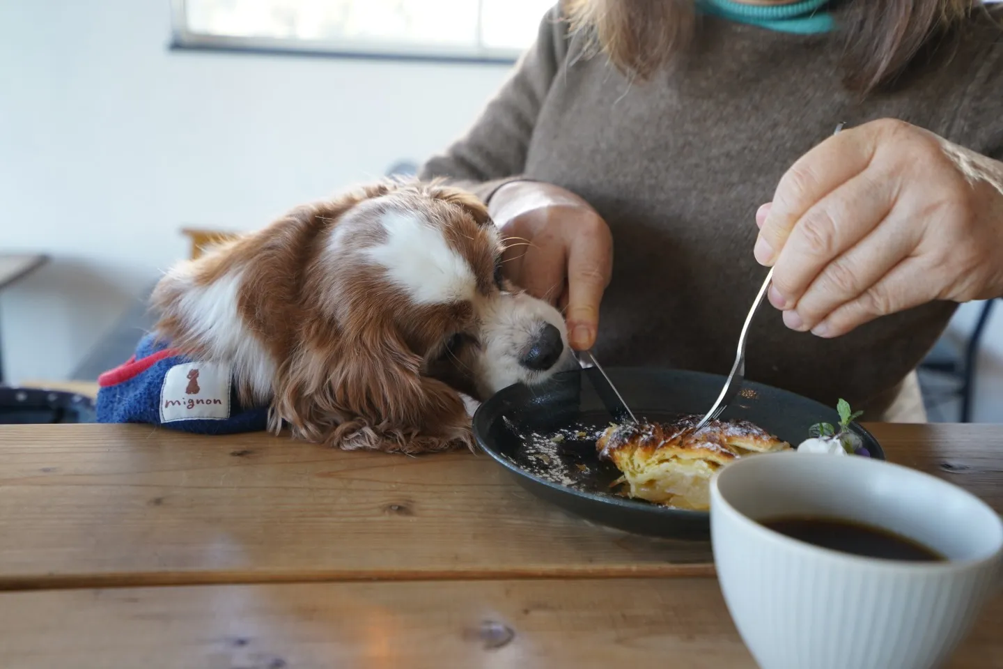 わんちゃんは店内も利用可能です🙆‍♂️