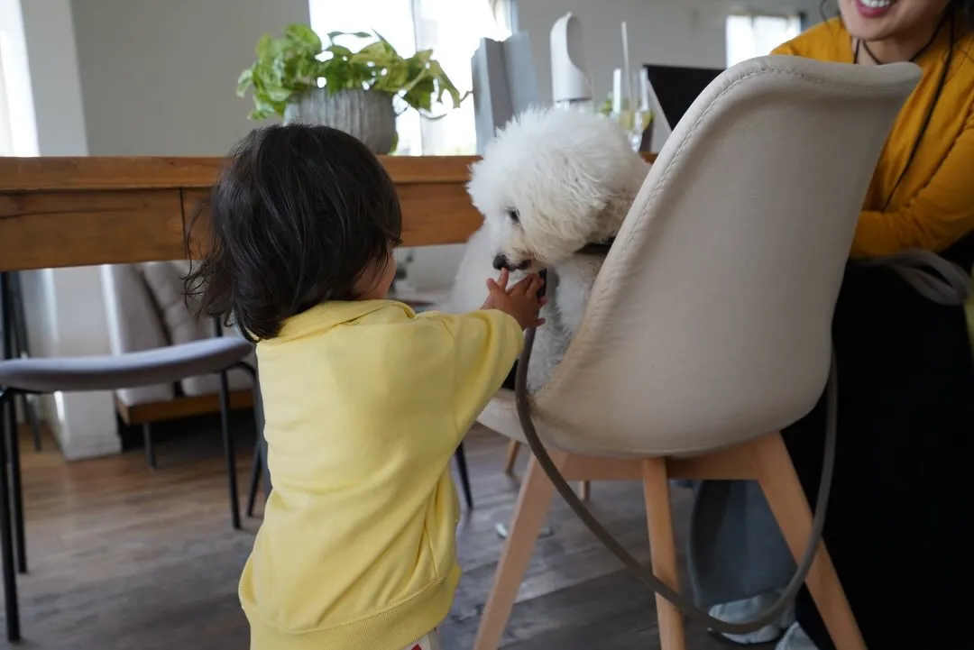 わんちゃんベビちゃんウェルカムです！