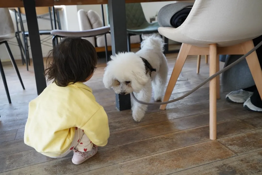 わんちゃんベビちゃんウェルカムです！