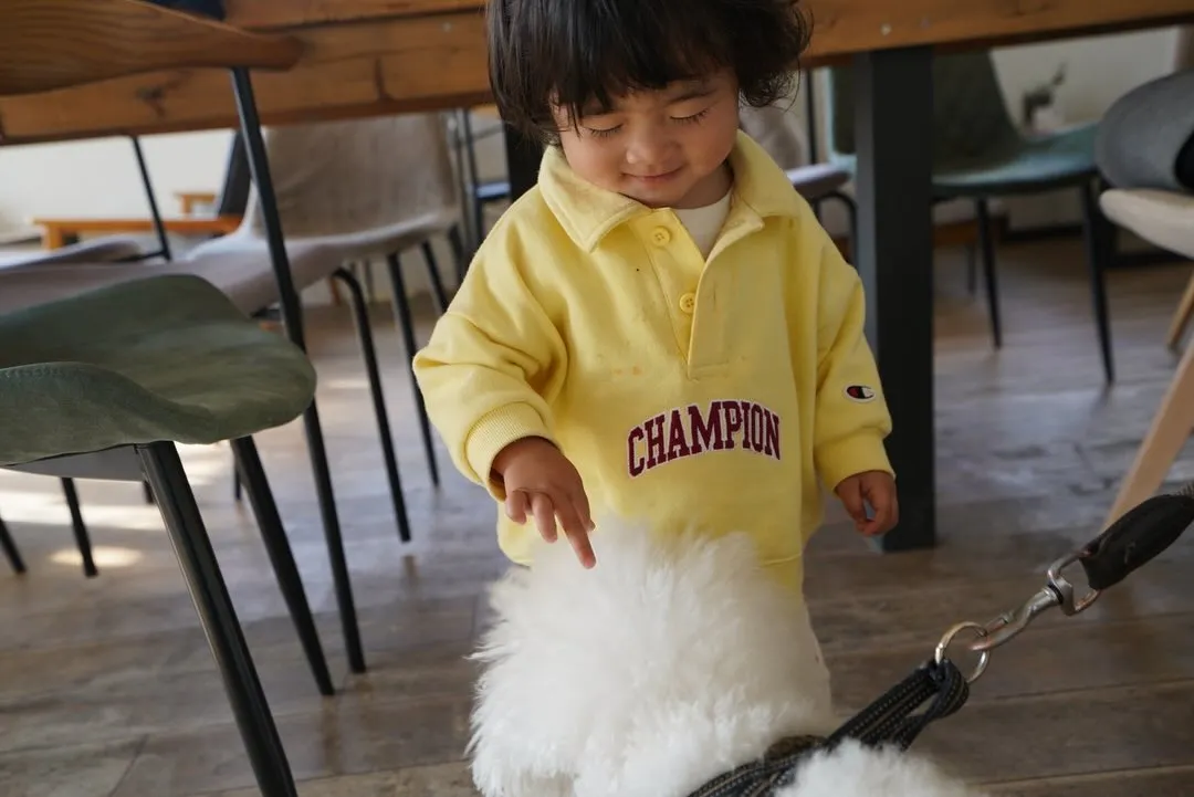 わんちゃんベビちゃんウェルカムです！