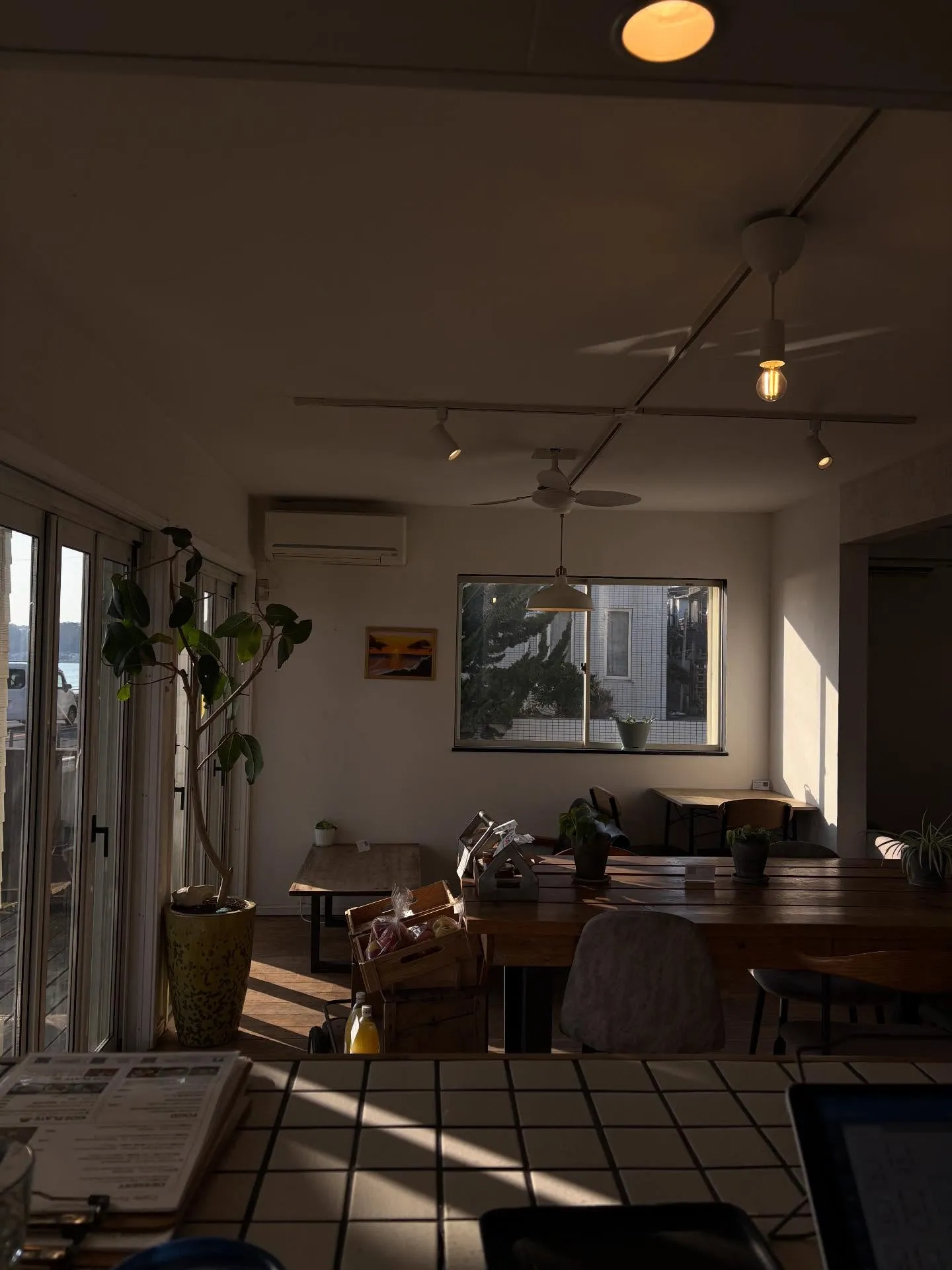 西日に照らされる店内☀️