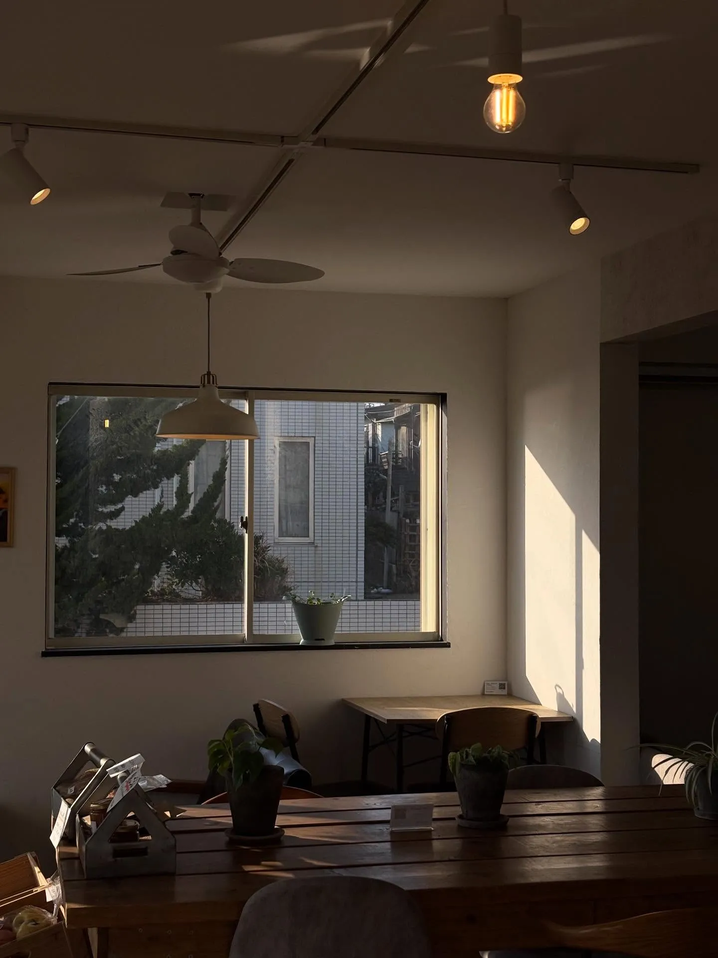 西日に照らされる店内☀️