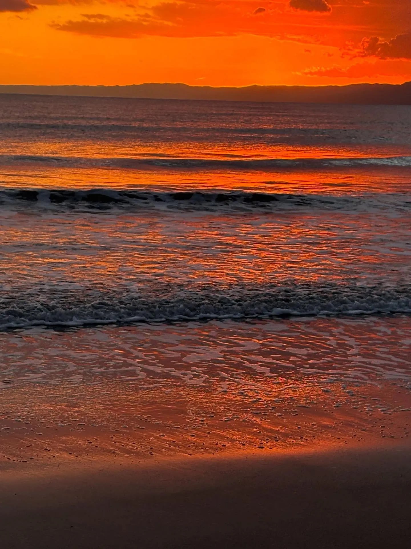 西日に照らされる店内☀️