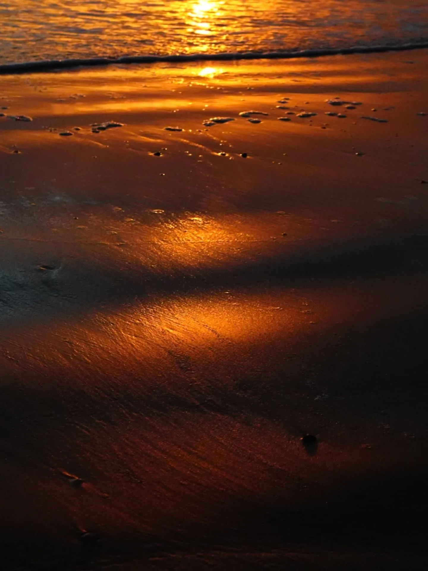 西日に照らされる店内☀️