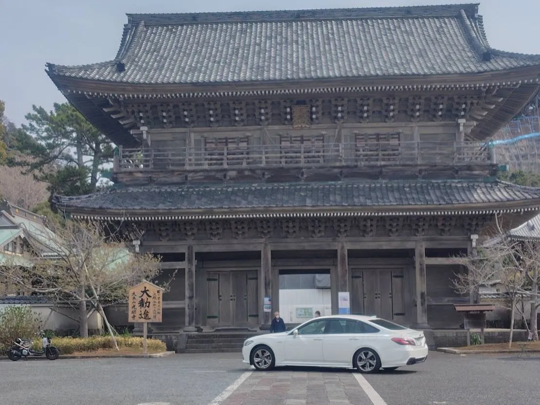 光明寺の桜も咲き始めてました🌸
