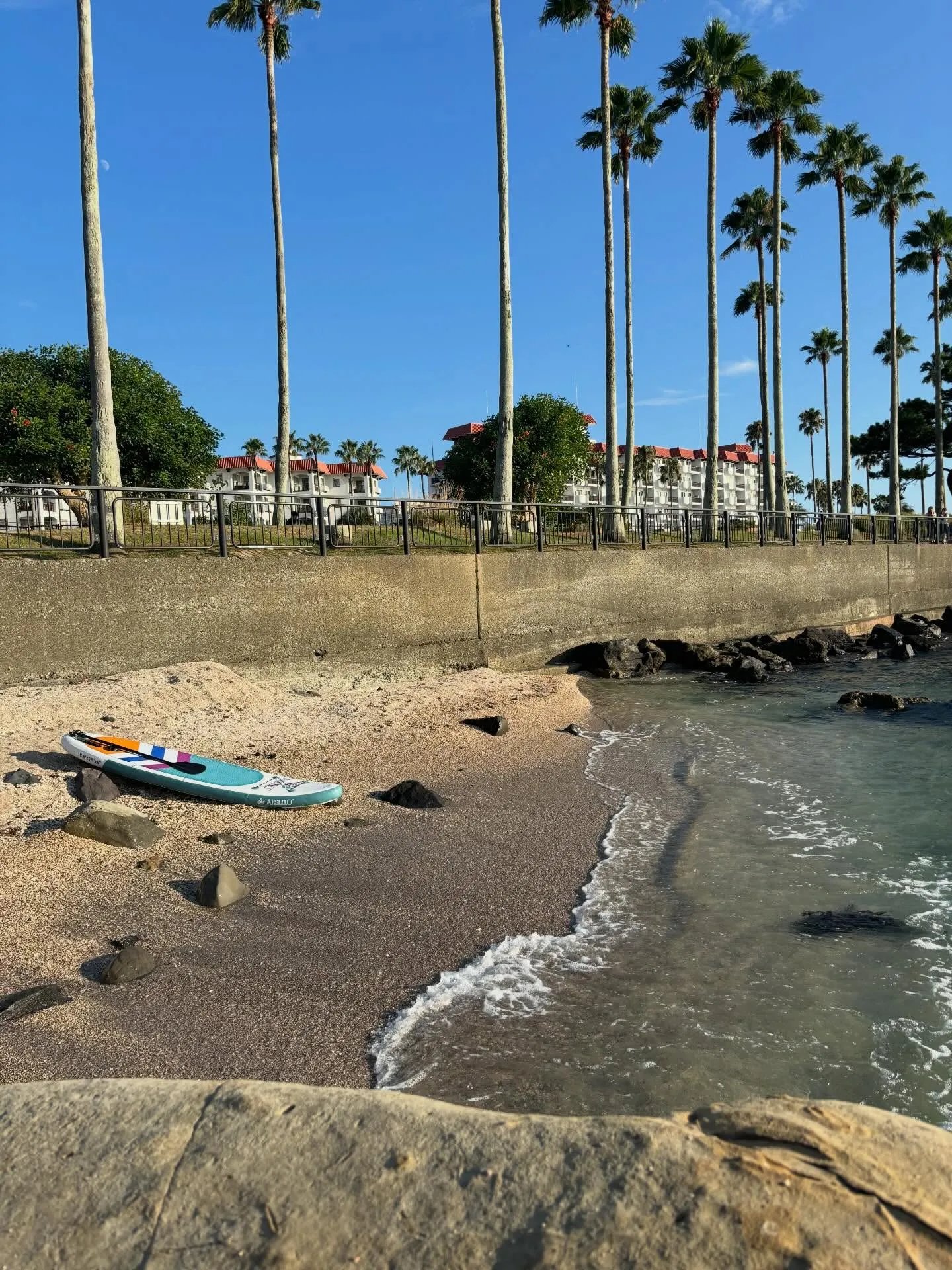 マリンスポーツ🏄🏽‍♀️⛵️🌊