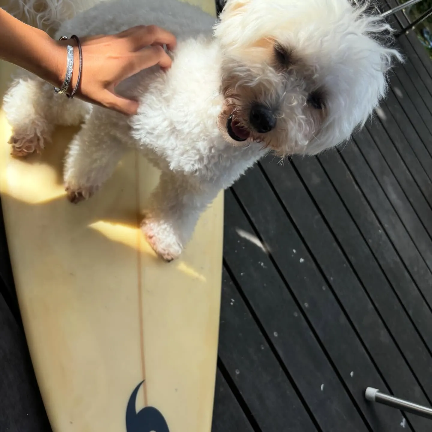 マリンスポーツ🏄🏽‍♀️⛵️🌊