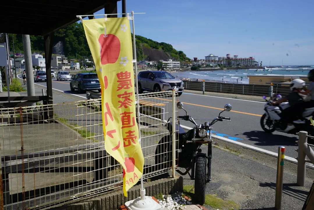 ゴールデンウィークも元気に営業中です！